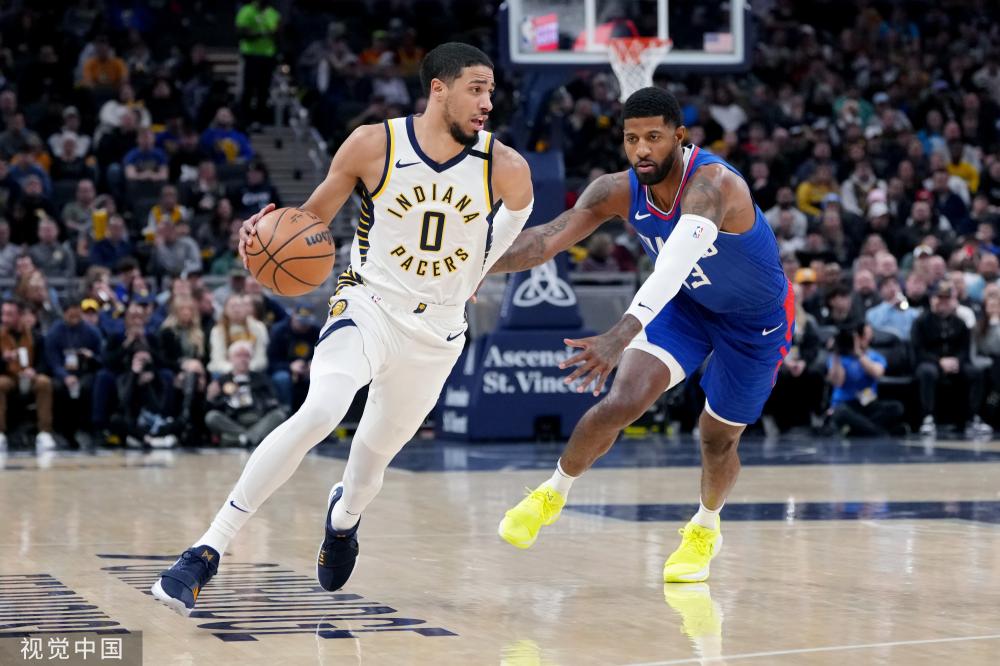 海豚队迅速 海豚队迅速